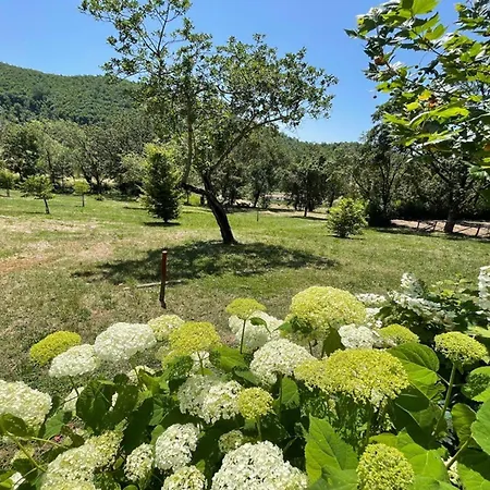 Βίλα Spoleto Country Park - Slps 28 Perfectly Can Sleep 32 Acquaiura