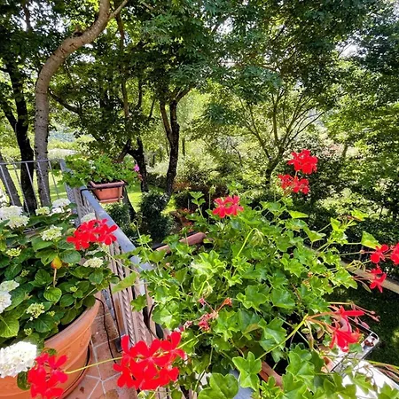 Spoleto Country Park - Slps 28 Perfectly Can Sleep 32 * Acquaiura
