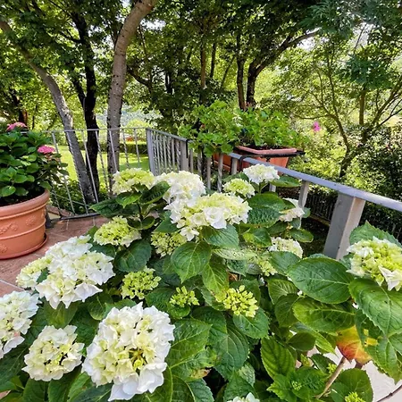Βίλα Spoleto Country Park - Slps 28 Perfectly Can Sleep 32 *